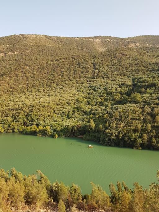 Le Figuier Du Lac Bin Elouidane Kültér fotó